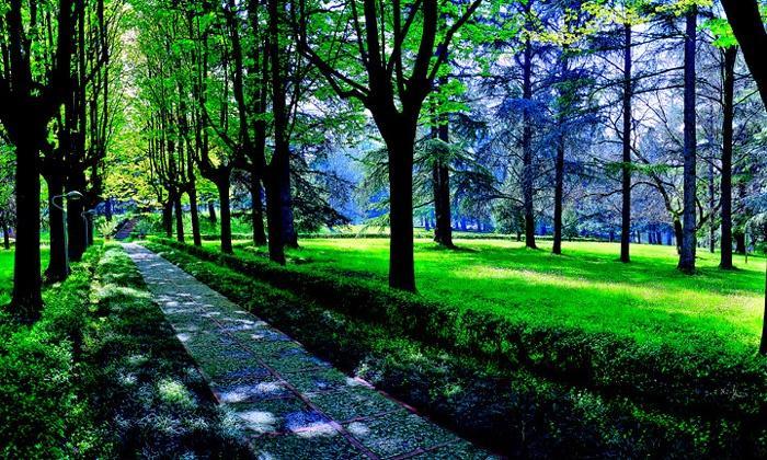 Hotel Terme Monticelli Terme Kültér fotó